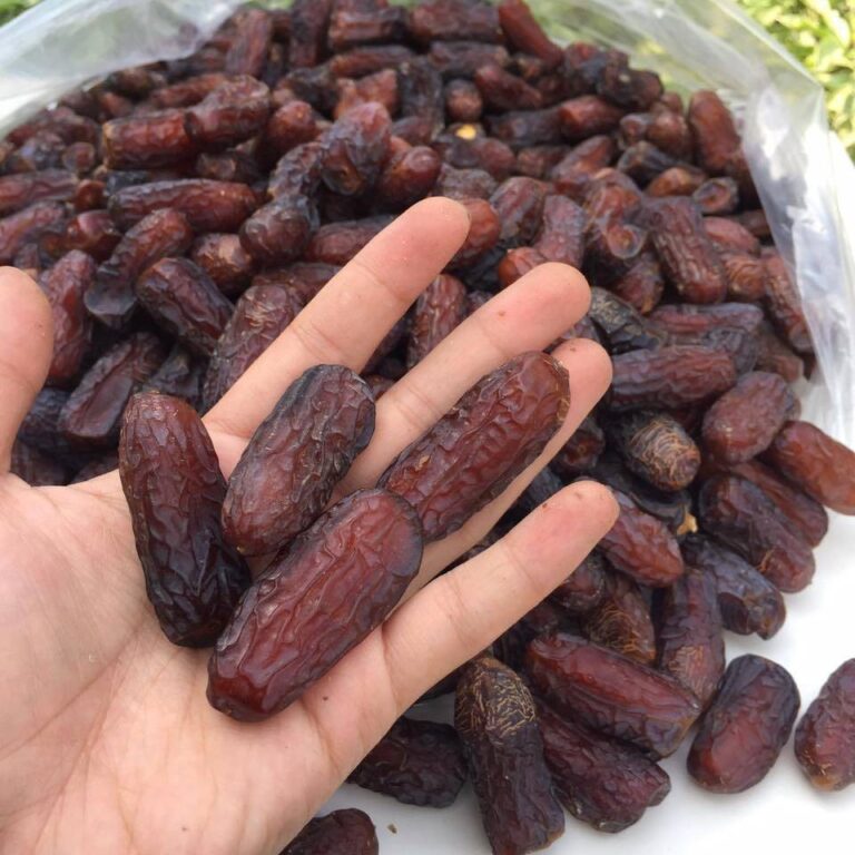 harga Kurma Mariami