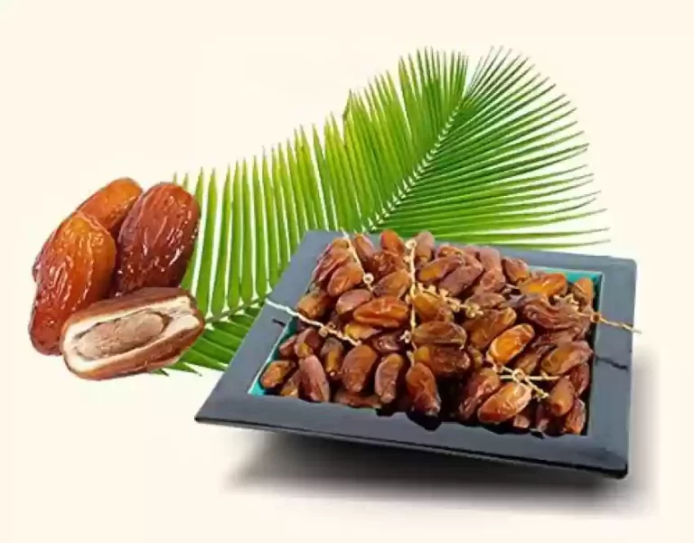 Kilang pembungkusan kurma Selangor